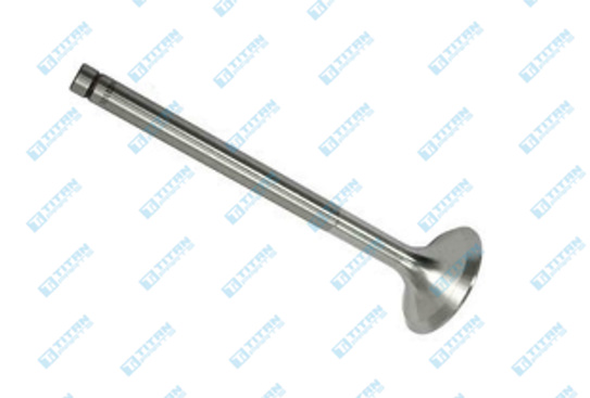 Engine Valves CASE - IH