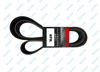 Belts & Tensioners CASE - IH