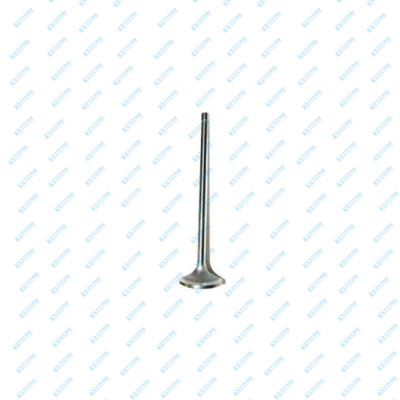 Engine Valves JOHN DEERE