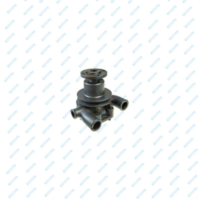 Water Pumps MASSEY FERGUSON