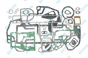 Engine Gaskets CASE - IH