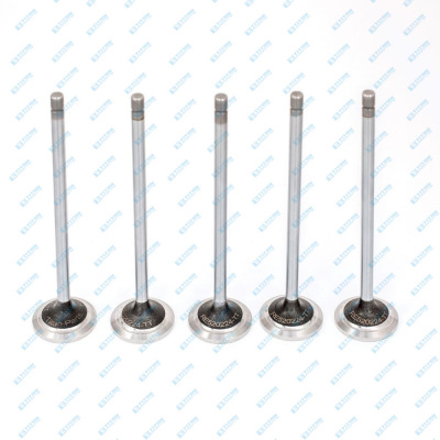 Exhaust Valve John Deere R520224